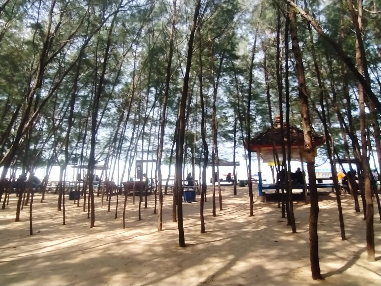 Pantai Pasir Putih Wates, Ruang Tenang untuk Liburan Keluarga